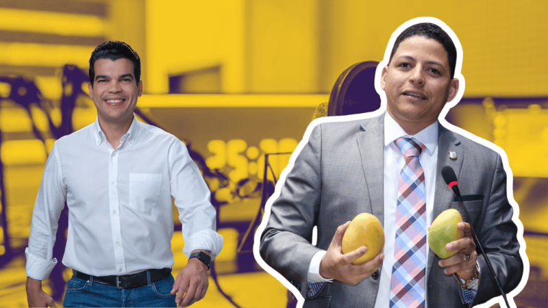 Diputado Luis Báez destaca el liderazgo interno de Wellington Arnaud en el PRM: "Si la convención fuese hoy, ganaría"