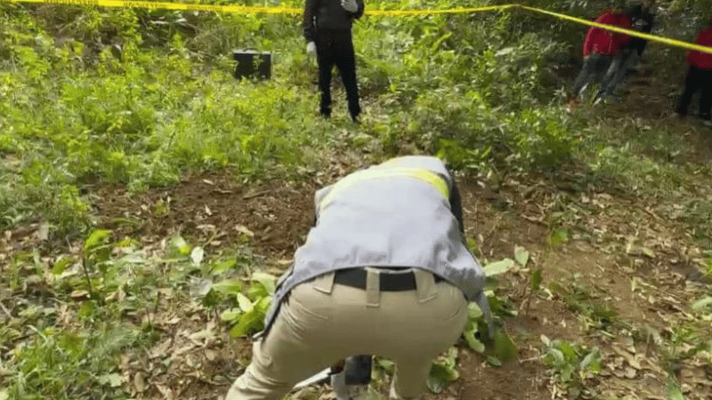 Hallan cadáver mutilado en una finca de San Francisco de Macorís