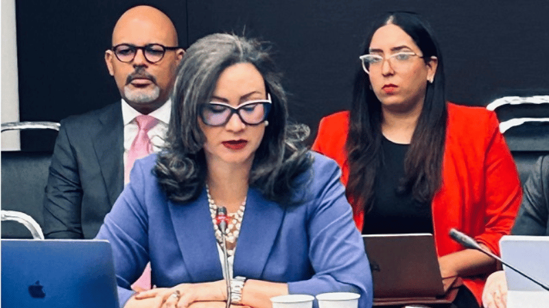 Embajadora Dominicana ante la OEA llama a redoblar esfuerzos internacionales frente a crisis en Haití