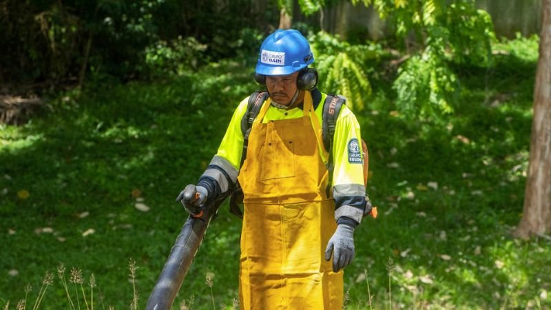 Prevención de áreas verdes ante temporada ciclónica protege infraestructuras