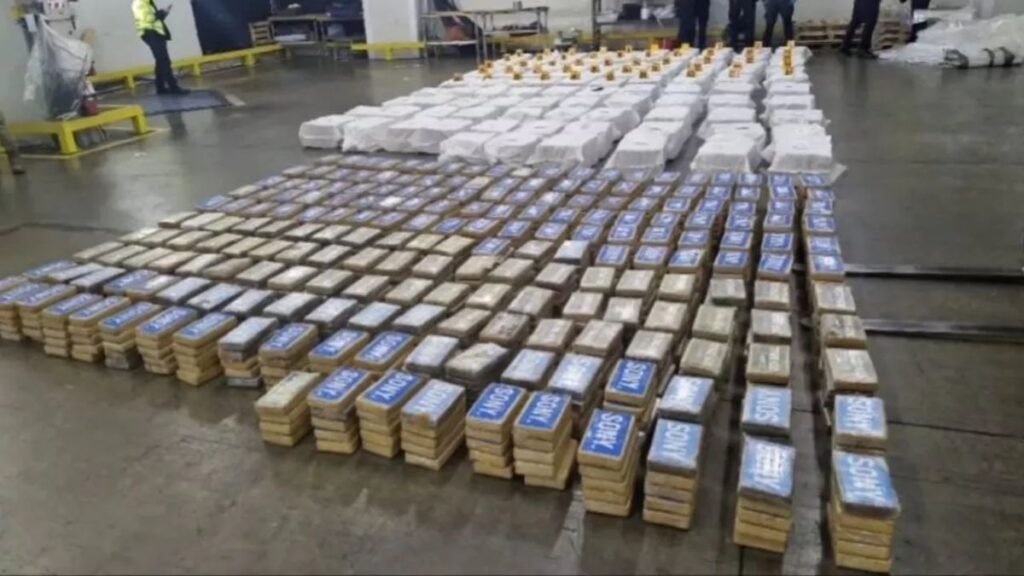 Incautan 810 kilos de cocaína en contenedor con destino al Reino Unido