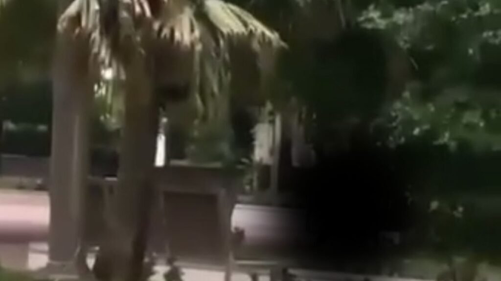 Video: Pareja sorprendida teniendo relaciones sexuales en Parque Duarte de Azua