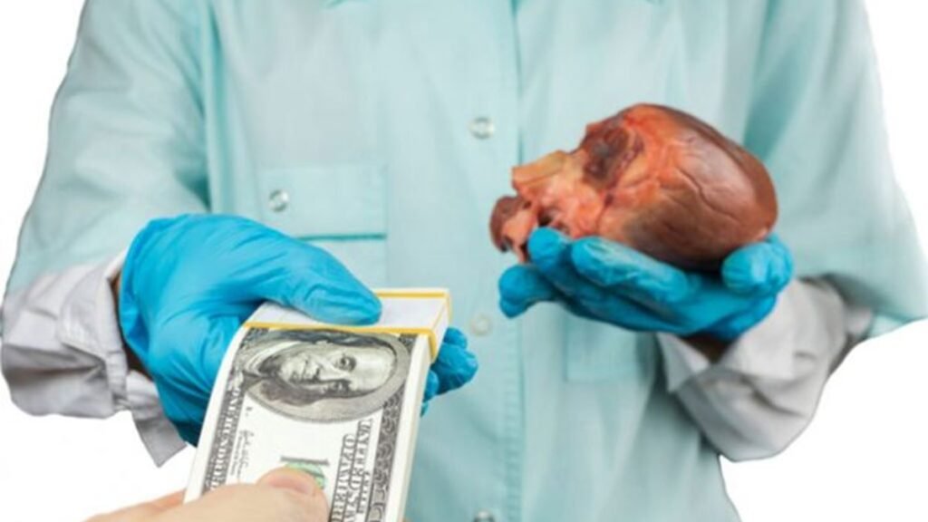 Robo y extracción de órganos marcan casos ocurridos en República Dominicana