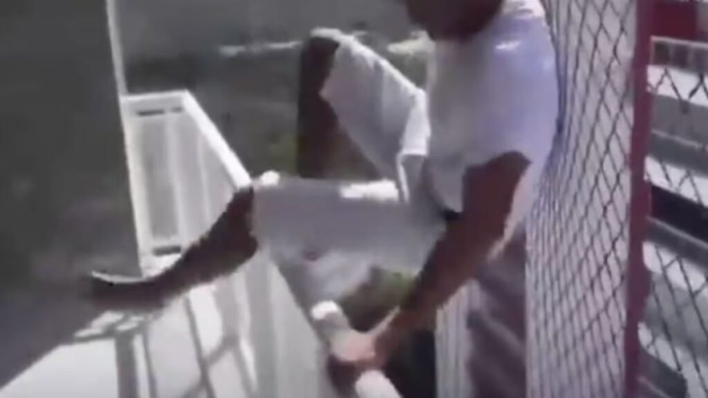 Video: Trabajador se lanza desde un piso 18 en Brasil para probar red de seguridad y el video se vuelve viral