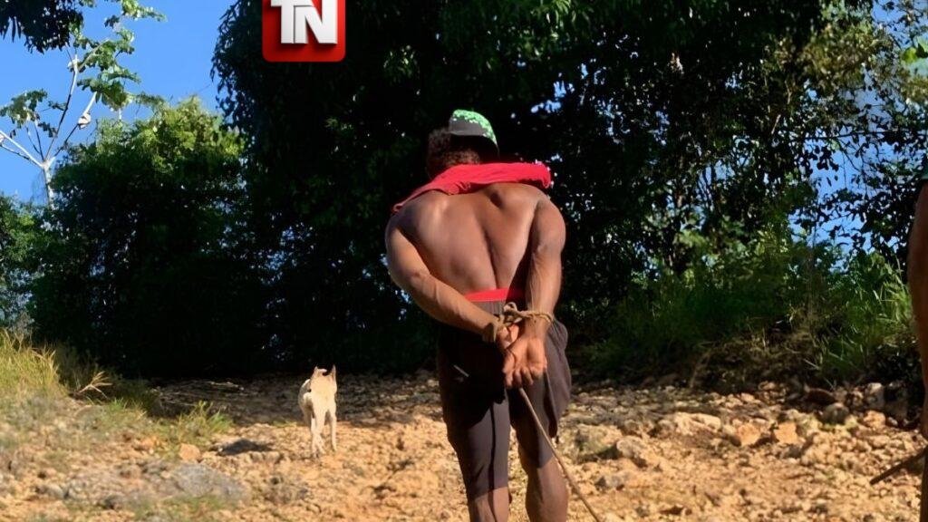 Video Comunitarios retienen y amarran a presunto ladrón de yautías en Sabana Grande de Boyá