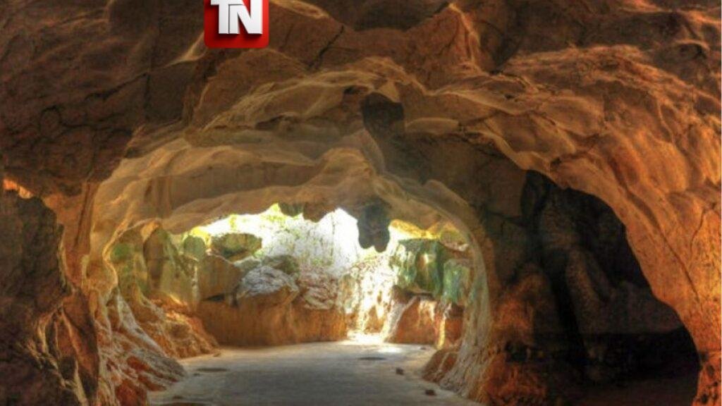 Pequenos Mineros denuncian deforestación en Cuevas del Pomier pese a prohibición de minería