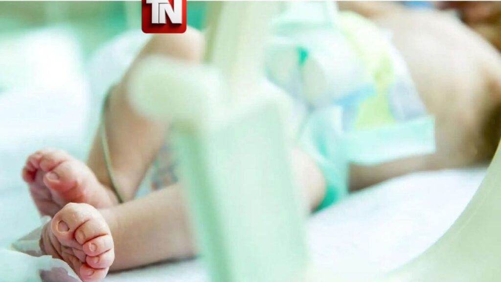 Hallan cuerpo de recién nacida en basurero de Herrera; investigan el caso