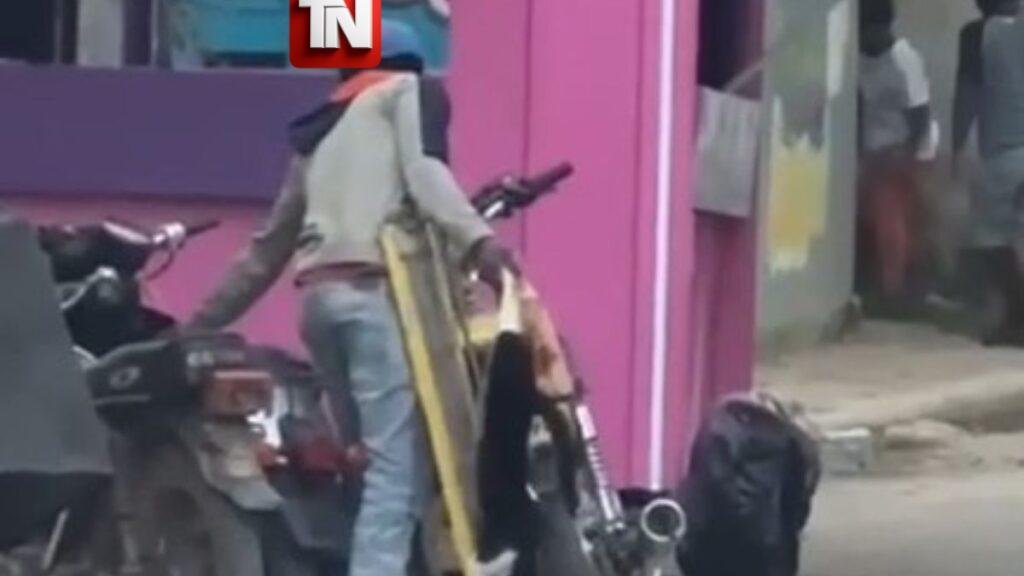 (Video) presunto haitiano que habría matado un gato para comérselo