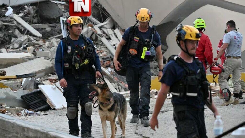 Perros rescatistas, aliados fundamentales en la búsqueda de sobrevivientes tras los terremotos en Venezuela