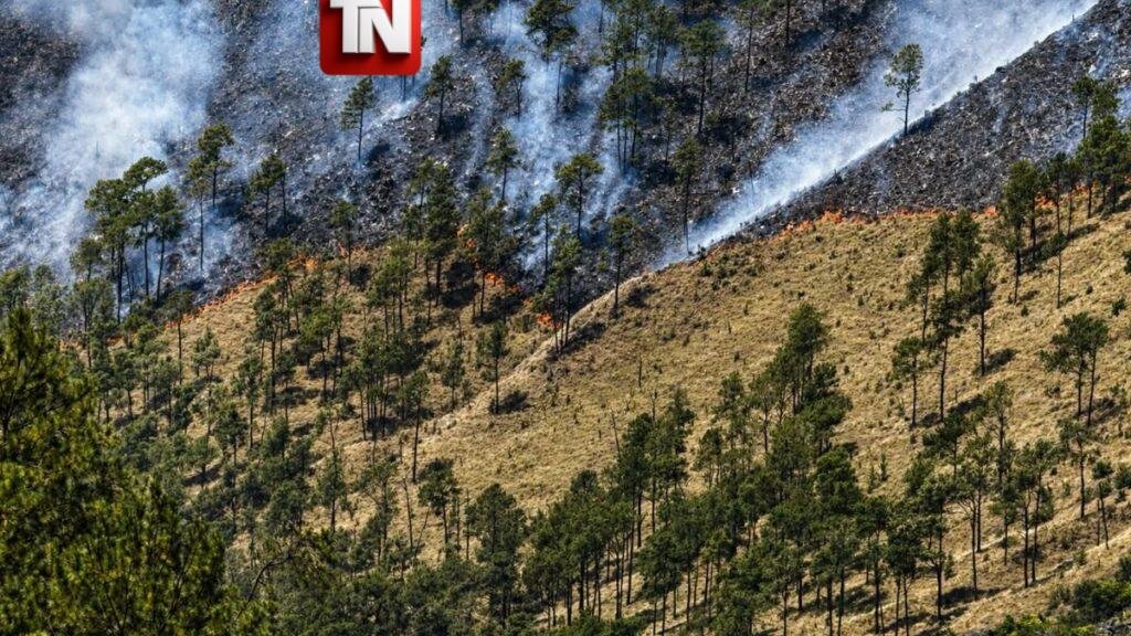 Controlan incendio forestal en La Cueva, pero mantienen cerrado el Parque Nacional Valle Nuevo