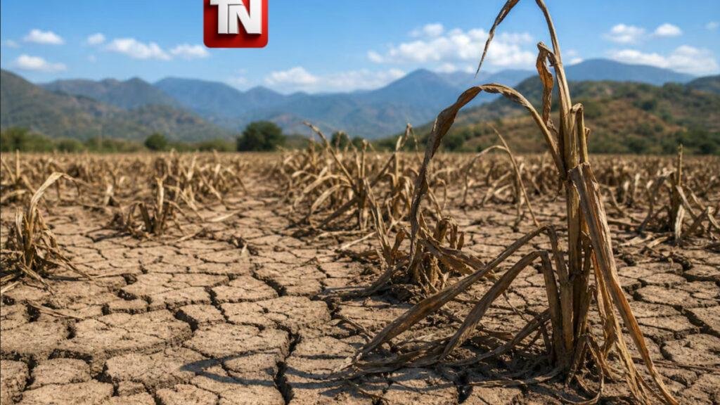 El Niño amenaza la seguridad alimentaria de 16 millones en América Latina