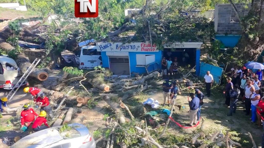 Un muerto y varios heridos tras caer árbol de gran tamaño en San Luis, Santo Domingo Este