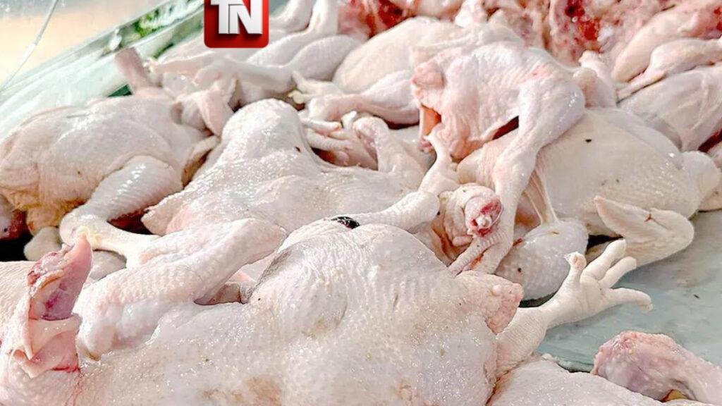 Producción nacional fortalece la oferta y favorece precios del pollo desde RD$70 y RD$85